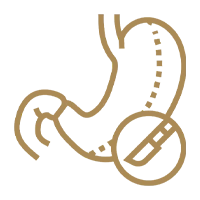 Bariatric Psychiatry